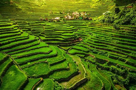  Banaue Rice Terraces! Mystical Landscapes and Timeless Agricultural Genius